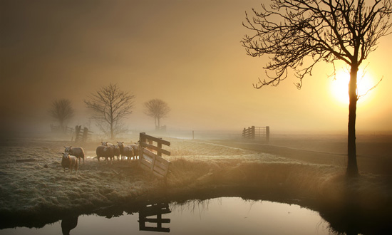 50+ Breathtaking Examples of Landscape Photography 28