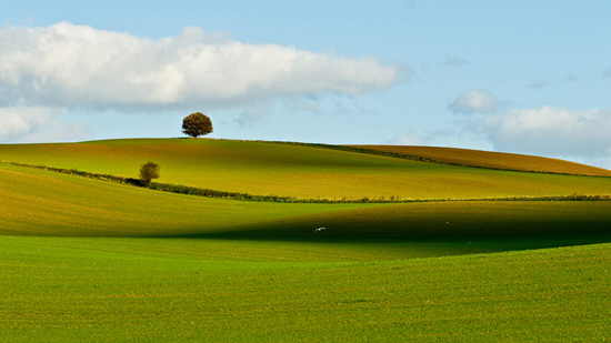 50+ Breathtaking Examples of Landscape Photography 38