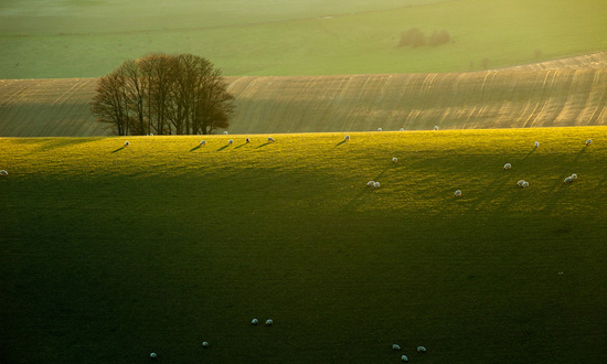 50+ Breathtaking Examples of Landscape Photography 49