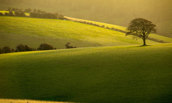 50+ Breathtaking Examples of Landscape Photography 51