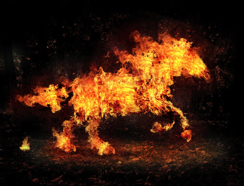 Digital Photo Manipulation: 50 Amazing Examples 21 Digital Photo Manipulation: 50 Amazing Examples 21