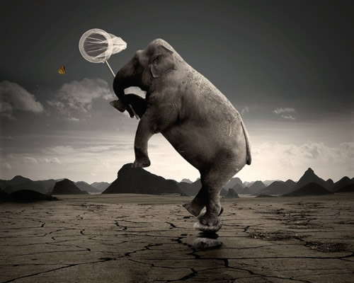 Digital Photo Manipulation: 50 Amazing Examples 22 Digital Photo Manipulation: 50 Amazing Examples 22