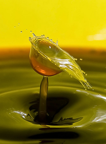 50+ Amazing Examples of High Speed Photography 30