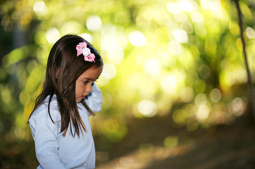 50 Amazing Examples of Bokeh Photography 10