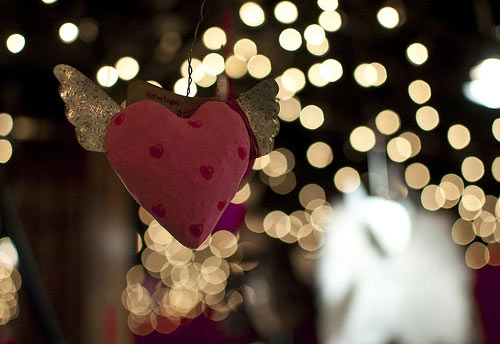 50 Amazing Examples of Bokeh Photography 15
