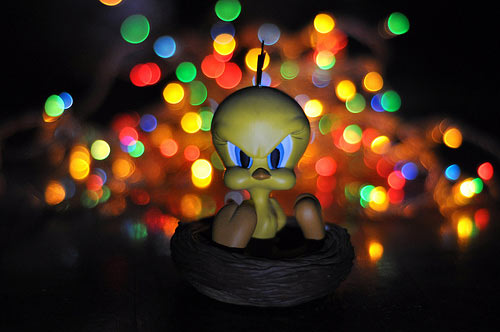 50 Amazing Examples of Bokeh Photography 19