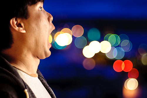50 Amazing Examples of Bokeh Photography 3
