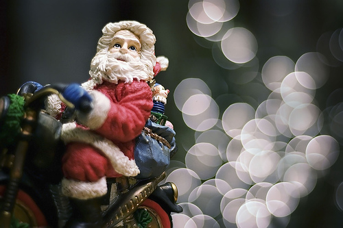 50 Amazing Examples of Bokeh Photography 8