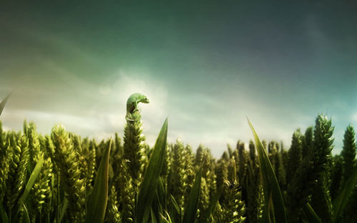 30+ Awesome Desktop Wallpapers 26