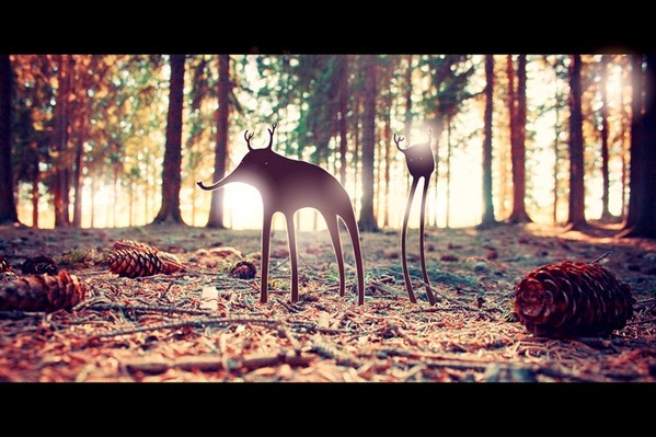 Creative and Stylish Photos by Victor Eredel 3