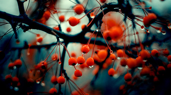 Creative and Stylish Photos by Victor Eredel 5