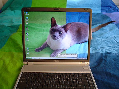 50 Awesome Transparent Screen Trick Photos 31