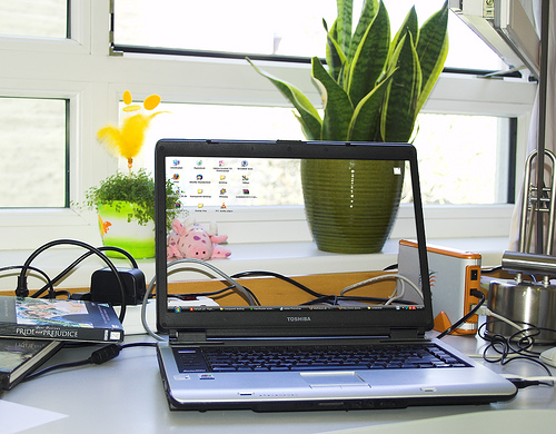 50 Awesome Transparent Screen Trick Photos 4
