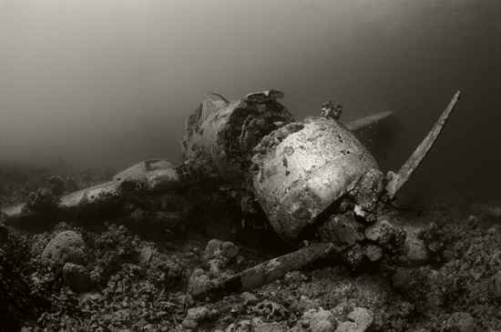 50 Beautiful Underwater Photos 21