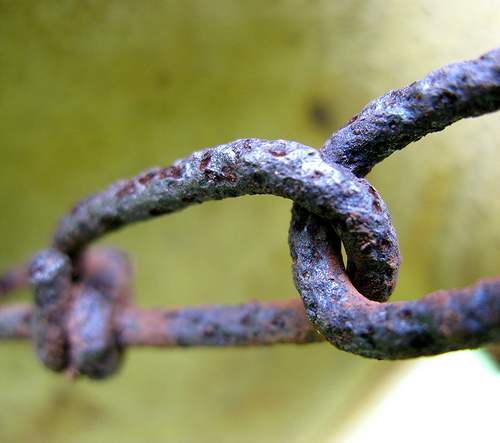56 Breathtaking Examples of Macro Photography 12
