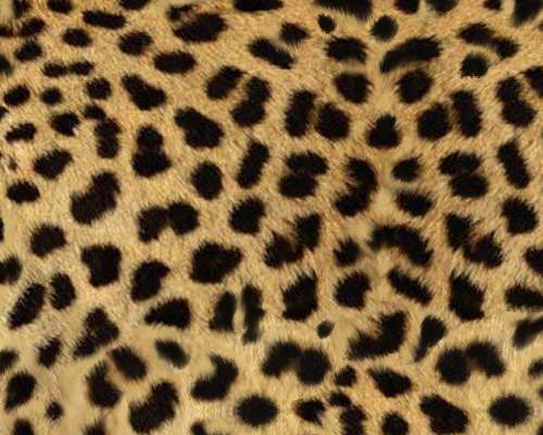 The Ultimate Collection of Free Photoshop Patterns 13