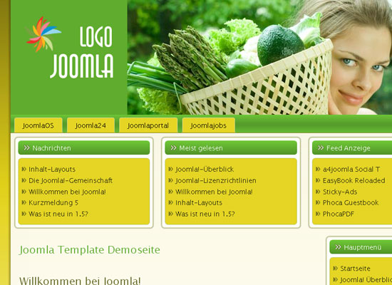 30 Free Joomla Website Themes Collection 15