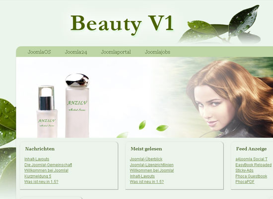 30 Free Joomla Website Themes Collection 18