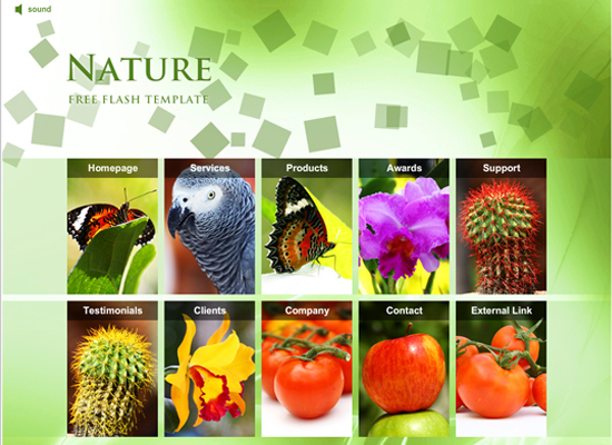20 Free Flash Templates With Source File 1