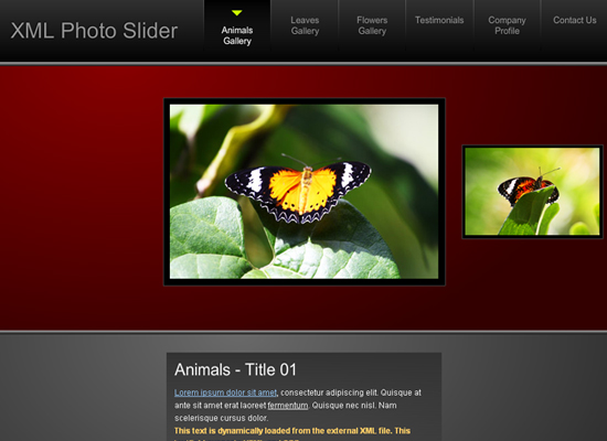 20 Free Flash Templates With Source File 10