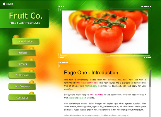 20 Free Flash Templates With Source File 11
