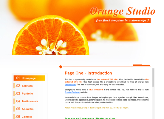 20 Free Flash Templates With Source File 13