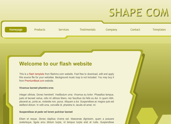 20 Free Flash Templates With Source File 18