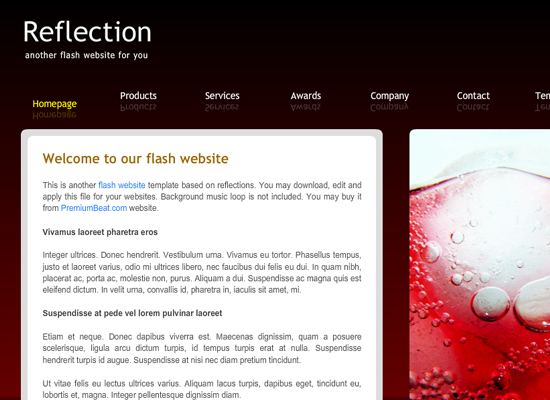 20 Free Flash Templates With Source File 19