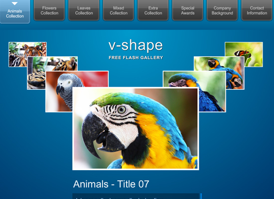 20 Free Flash Templates With Source File 4
