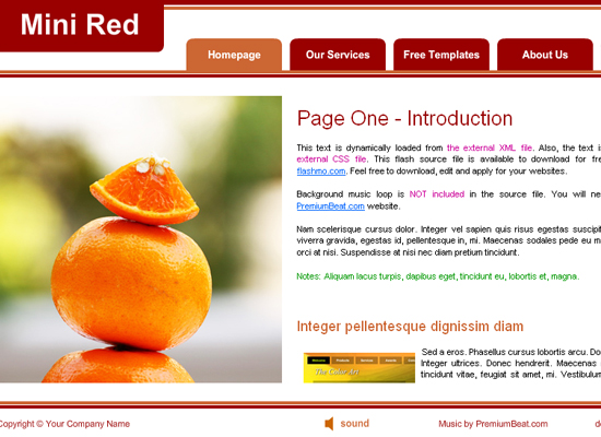 20 Free Flash Templates With Source File 7