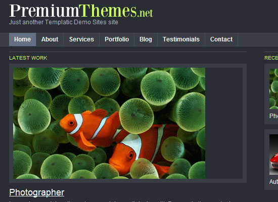 Best Premium Wordpress Themes Which are worth buying 10