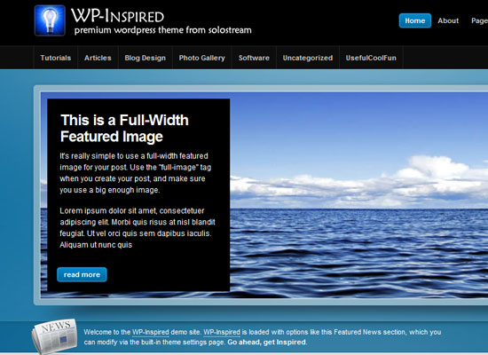 Best Premium Wordpress Themes Which are worth buying 13