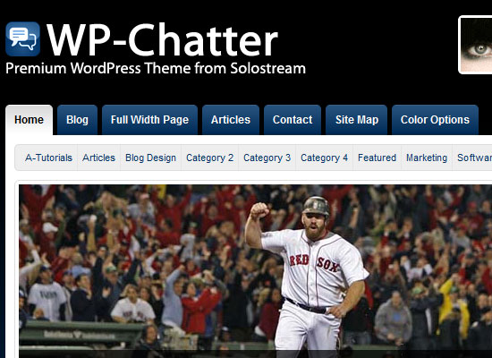 Best Premium Wordpress Themes Which are worth buying 14