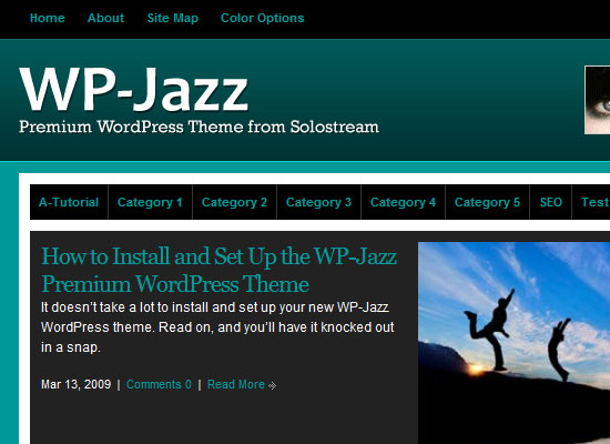 Best Premium Wordpress Themes Which are worth buying 15
