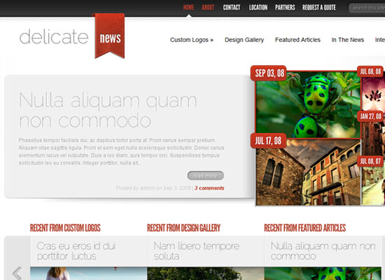Best Premium Wordpress Themes Which are worth buying 5