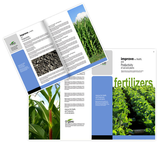 20 Attractive Brochure Design for Inspiration 1