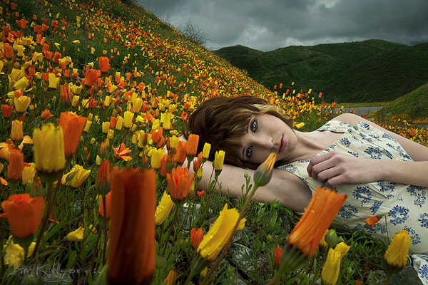 Good Career for a Web Design Freelancer 4 Good Career for a Web Design Freelancer 4