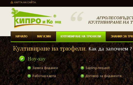 Beautiful Navigation Menu Style with Website Color Combination 12