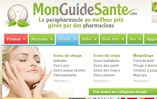 Beautiful Navigation Menu Style with Website Color Combination 20