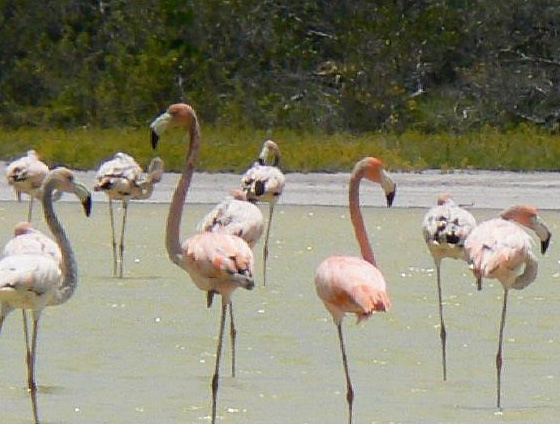 40 Beautiful National Parks Around The Globe 17