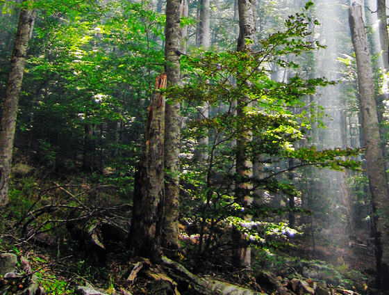 40 Beautiful National Parks Around The Globe 26
