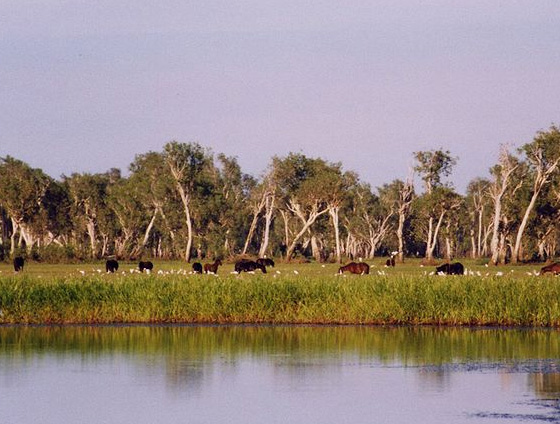 40 Beautiful National Parks Around The Globe 32