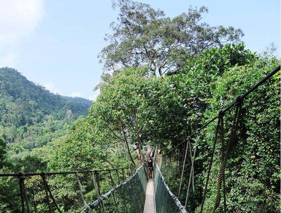 40 Beautiful National Parks Around The Globe 38
