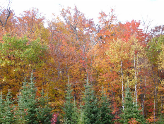 40 Beautiful National Parks Around The Globe 4