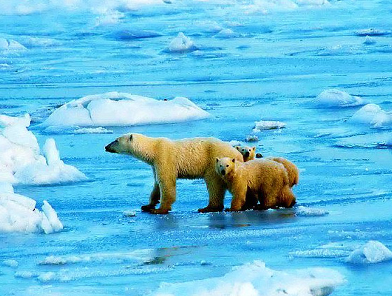 40 Beautiful National Parks Around The Globe 7