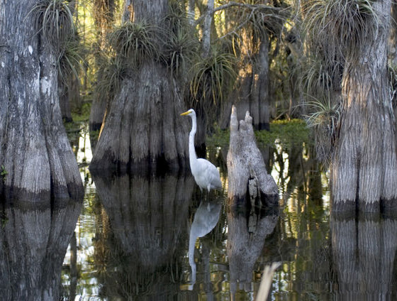 40 Beautiful National Parks Around The Globe 8