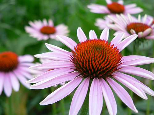30 Free High Resolution Images for Commercial Use from Flickr Part-1 8