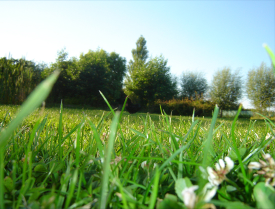30 Free High Resolution Images for Commercial Use from Flickr Part-1 1