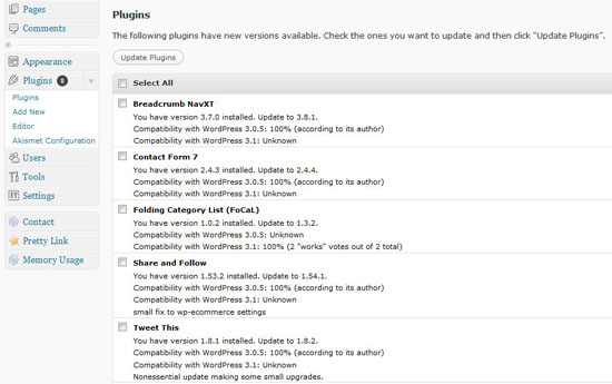 4 WordPress Blog Optimization Tips 1