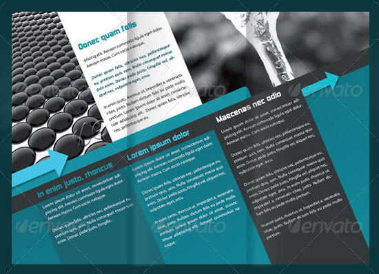 10 Creative Brochure Design to Buy in Minimum Price 1